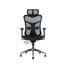 Alpha Mesh Executive Chair 